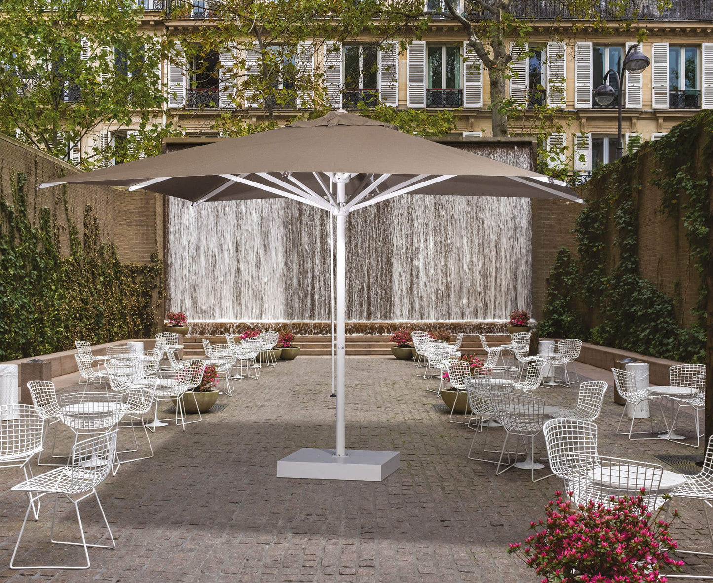 Verona Starwhite