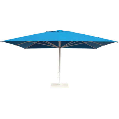 Capri Starwhite