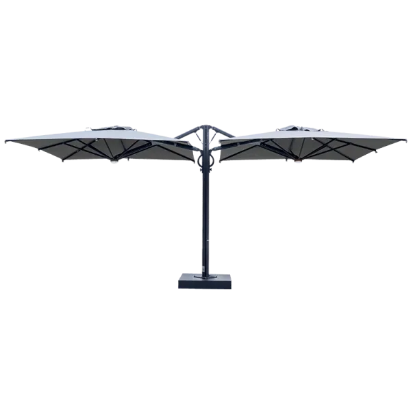 Dual T Carbon