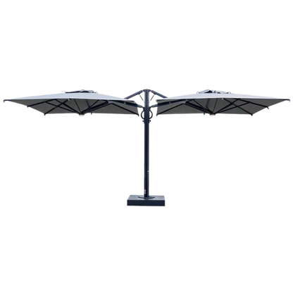 Dual T Carbon