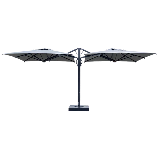 Dual T Carbon