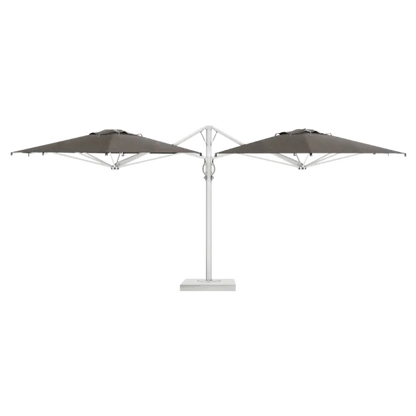 Dual T Starwhite