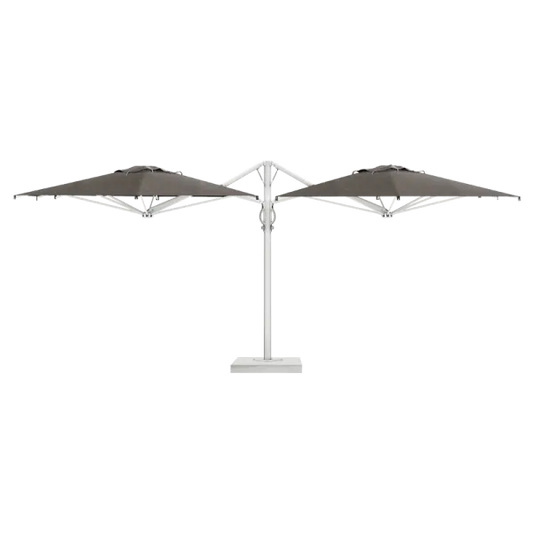 Dual T Starwhite