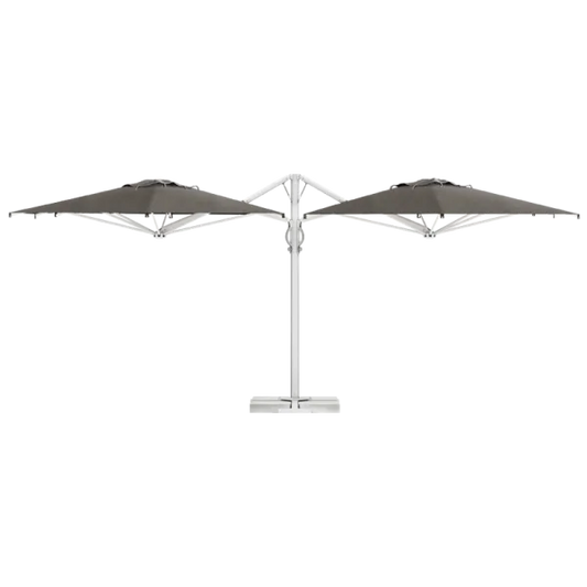 Dual V Starwhite