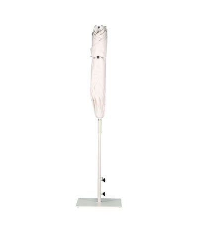 Revo Starwhite