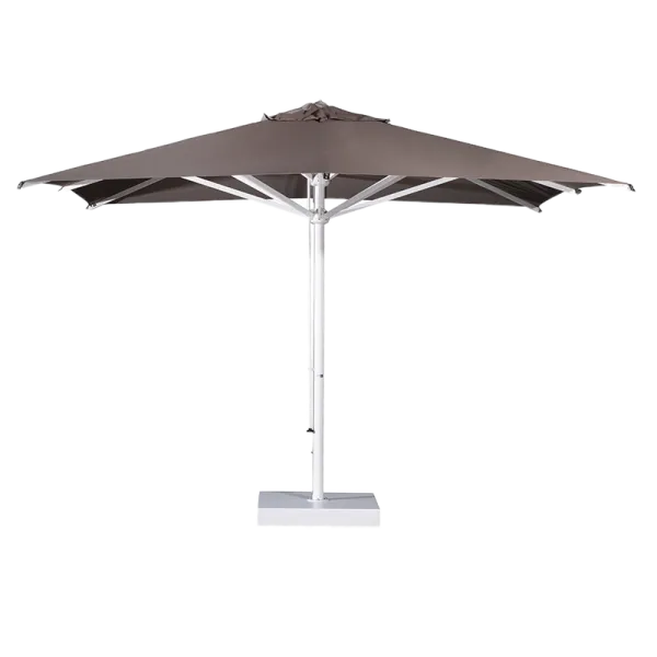 Verona Starwhite