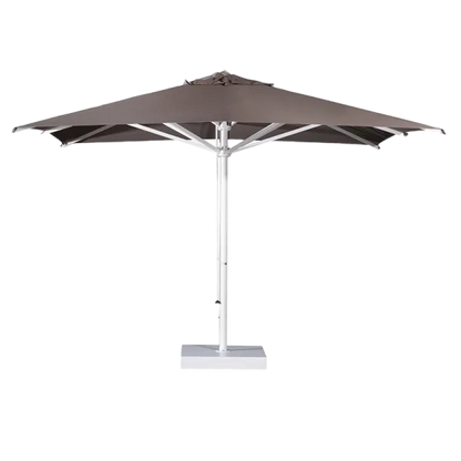 Verona Starwhite